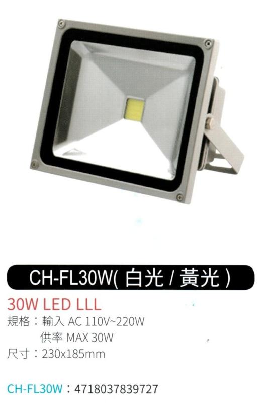 30W LED 投射燈 (白光 / 黃光) CH-FL30W